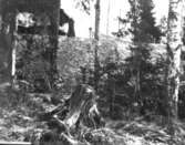 Bilder från Borgen i Danderyd.
Agnes de Frumeries samling, Danderyd.