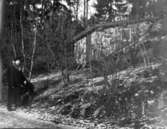 Bilder från Borgen i Danderyd.
Agnes de Frumeries samling, Danderyd.