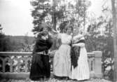 Album, Sven Kjellberg Springfeldt 1910-1911.
Agnes de Frumeries samling, Danderyd.

Fototid: 16/7 1911.

Sophie Kjellberg gratuleras på 76- årsdagen d. 16 Juli 11.