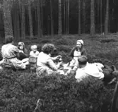 Lingonplockning i Dalaskogen 1963. Elsa Eriksson (med huvudkläde) m. fl.