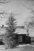 Vintermotiv från Heljesgården 1950-talet.