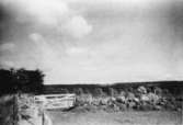 Heljesgården, Bolum.
Landskapsfotografi.
År 1954.