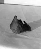 I Västergötlands museums samlingar.