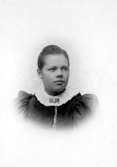 Ada Johansson, Älgarås, Daretorp.

Text inuti albumet: 
20/3 1899 Hilma. 
Hilma Pettersson Julafton 1895.