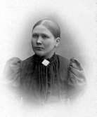 Frida i Gulliden, Tidaholm.
Skräddarmästare Carl G. Petterssons samling, Törestorp, Daretorp. Fotona är från slutet av 1800-talet till början av 1900-talet.