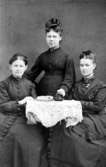 inv.nr. 86879.

Fru Emma Forsell-Sjöstedt, Anna och Mathilda Sjöstedt, Hjo.