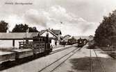 L.S.S.J. 
(Lidköping-Skara-Stenstorps Jernväg).
Axvalls järnvägsstation omkring 1910. 
Bilden visar tre tåg på stationen. Ett från Skara, ett från Stenstorp och ett från Skövde.
Reprofotografi av vykort.
