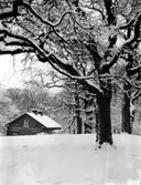 Stockholm, Rosendal, Djurgården.