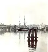 Briggen valfisken i Svendborgs hamn före upphuggningen.