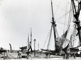 Segelfartyg lossas vid Ångkvarnen i Kalmar.