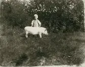 Bengt Åhman f 1912 med 