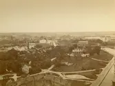 Vy över stadsparken i Kalmar, tagen från slottet.
Stadsparken i Kalmar anlades 1870 sedan staden löst in den s k Brittellska gården från familjen Krusenstierna. Parken bekostades av grosshandlare Johan Jenasson vars byst finns i parken. 
Flera av byggnaderna på bilden finns kvar än idag. Lättast att känna igen är fängelset till höger och Tullbroskolan rakt fram. I fjärran till vänster skymtar Norrgård, nu en centralt belägen byggnad, 1890 en utpost mot nordväst.