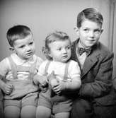 Birger, son till Ingegerd Eriksson, Vard (?). Foto i februari 1952.
