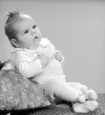 Barnet Forsell. Foto i december 1950.
(Fru Forsell)

