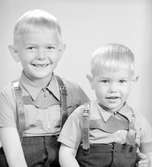 Pojkarna Färnström.

