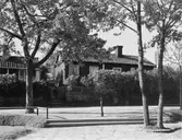 Gammal gård vid Kungsbäcksvägen, 1913
( Sedemera Ahlgrens tomt).