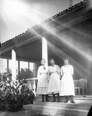 Tre kvinnor på trappan
