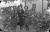 Tre unga damer i trädgården



