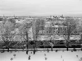 Vy över norra stadsdelen, fotograferad från Slottet.
