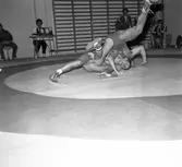 Brottning BK Loke. November 1981