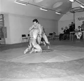 BK Loke Serieseger mars 1984