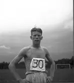 Å Gustafsson. Hamrångefjärden