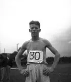 Å Gustafsson. Hamrångefjärden