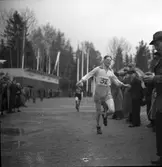 Å Gustafsson. Hamrångefjärden