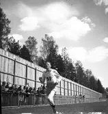 Å Gustafsson. Hamrångefjärden