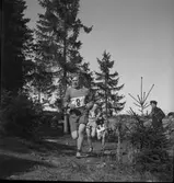 Orienterare Vikstrand. Årsunda