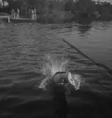 Olga Zetterberg. Simmning