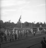 Svenska Flaggans dag. 1936