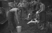 DM i orierntering & budkavlen. År 1935