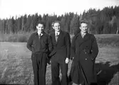 Högbo IK.