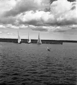 Segling start vid Houken, våren 1938