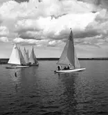 Segling start vid Houken, våren 1938