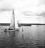 Segling start vid Houken, våren 1938