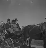 Kryckerståten i Överhärde. 1943