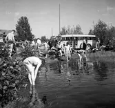 DM i orientering och budkavle. 1938