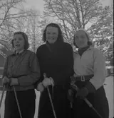 Geflemästerskapen vid Rödjningen på skidor.
29/1 1939
