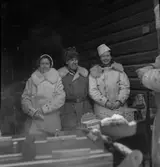 SM för NTO-are. 1941