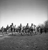 SM Kungsbäckterrängen. 1941