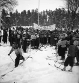 Skolungdomens fettistastävlingar på skidor. 1942