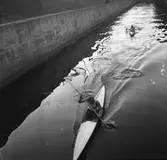 Kanotpaddling. 1942