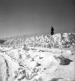 Snövallar på travbanan.

Februari 1942


