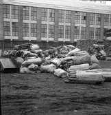 Konsums spillvedsinsamling. 1942