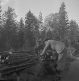 Konsums spillvedsinsamling. 1942