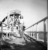 Fröken Andersson. Konsum