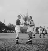 Brynäs mot det Danska laget Nasved.