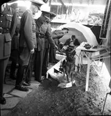 Utländsk militär och attachér på besök.